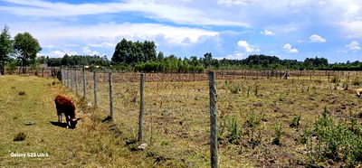 Prime Plot for Sale in Royalton Annex Eldoret - Image 3