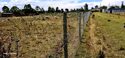 Prime Plot for Sale in Royalton Annex Eldoret - Image 5