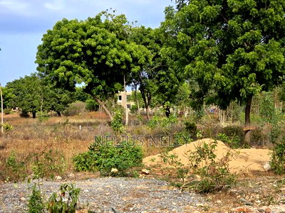 Bofa Plots Kilifi - Image 6