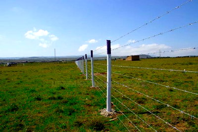 Land Near the Highway, 50 by 100 Ft , - Image 3