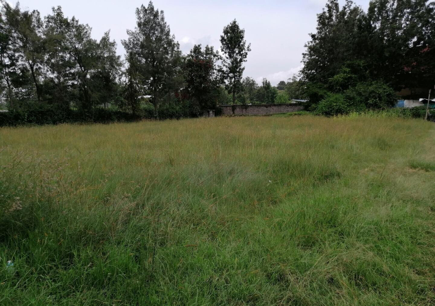 Half Acre Plot in Karen at KSh 45M