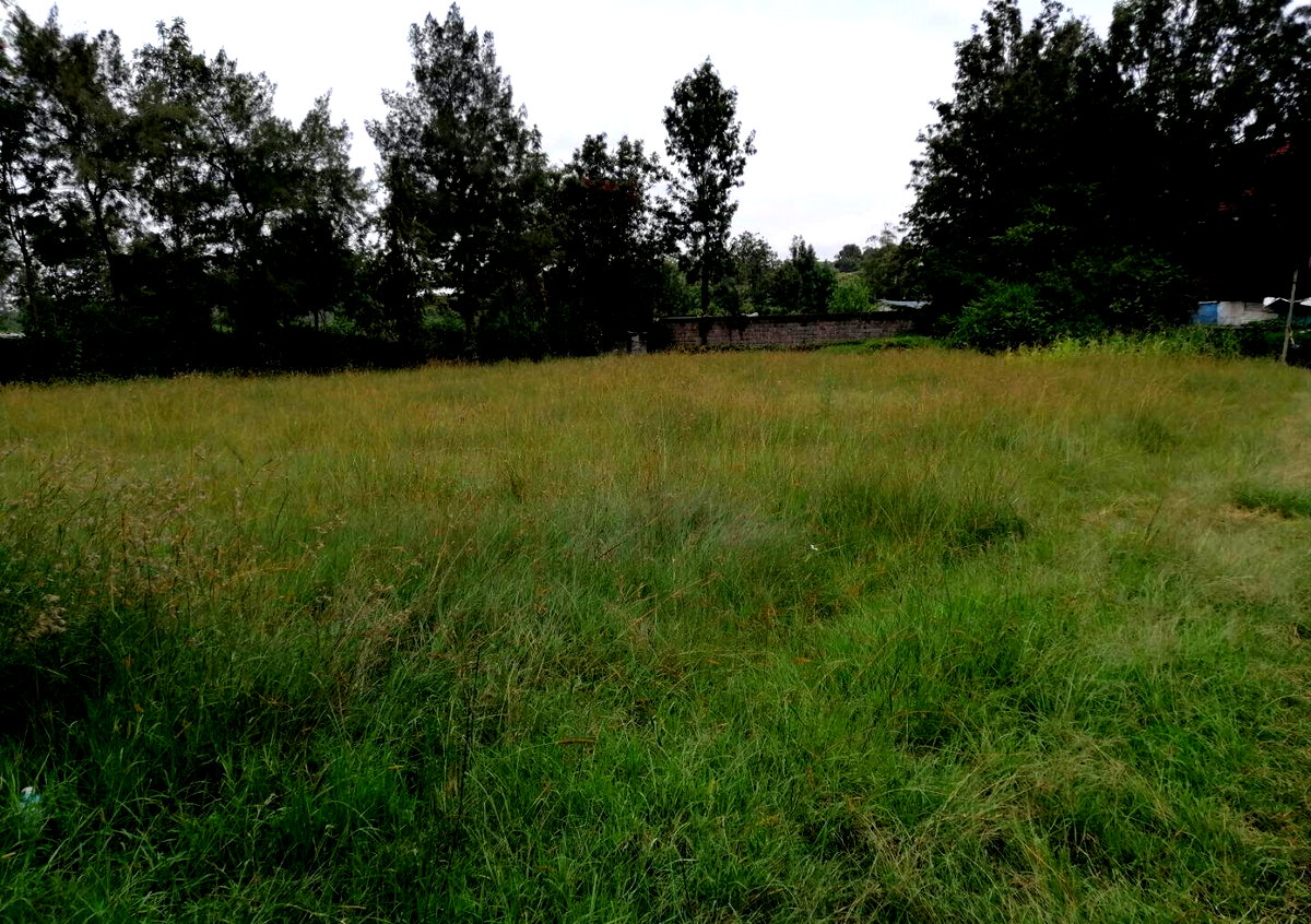 Half Acre Plot in Karen at KSh 45M