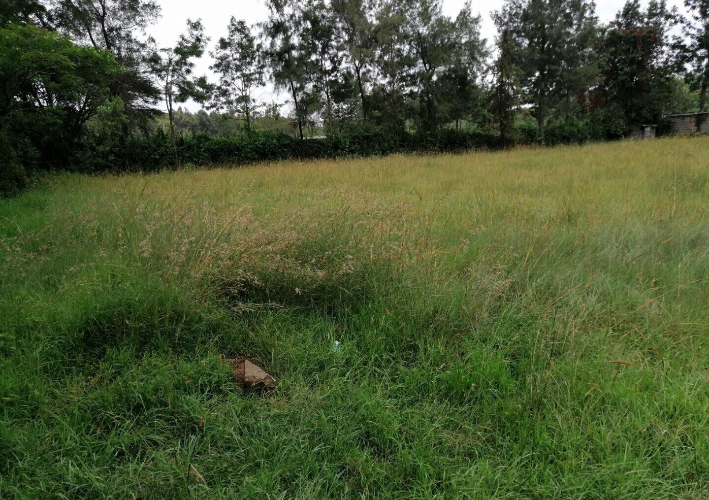 Half Acre Plot in Karen at KSh 45M