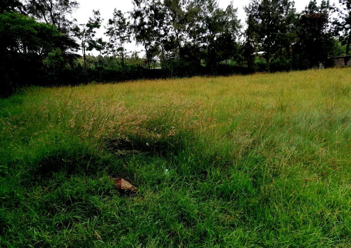 Half Acre Plot in Karen at KSh 45M