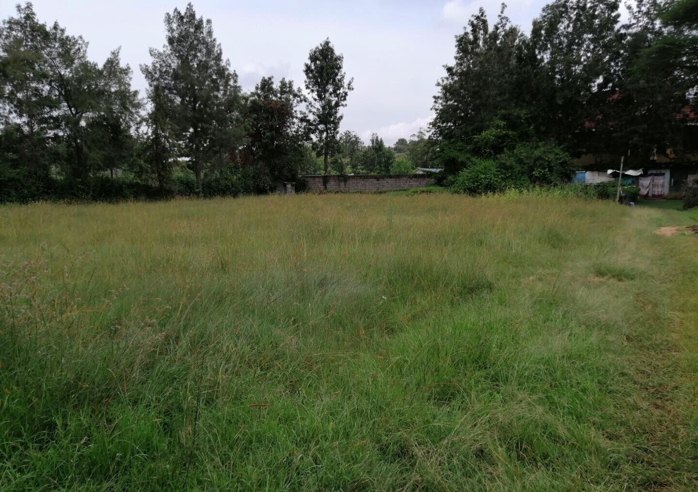 Half Acre Plot in Karen at KSh 45M