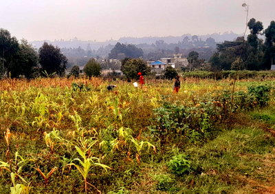 50x100 Plot for KSh 2.1M in Ndeiya