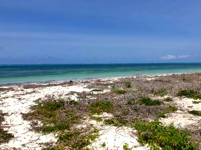 For Sale 10acres Beachfront Land in Watamu - Image 1