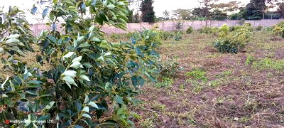 1/4 Acres for Sale in Nakuru Near HEAVENS GATE FOR SALE - Image 9