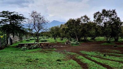 Naivasha 5 and 10acres Within Developed Impala Estate - Image 1