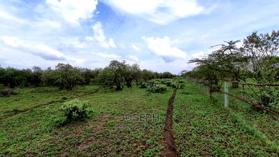 Naivasha 5 and 10acres Within Developed Impala Estate - Image 5