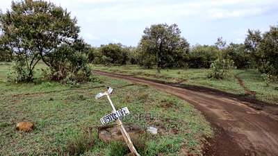 Naivasha 5 and 10acres Within Developed Impala Estate - Image 2