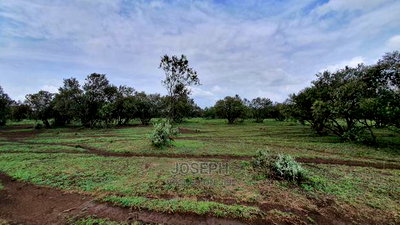 Naivasha 5 and 10acres Within Developed Impala Estate - Image 7