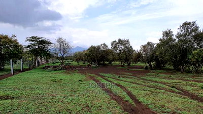 Naivasha 5 and 10acres Within Developed Impala Estate - Image 10
