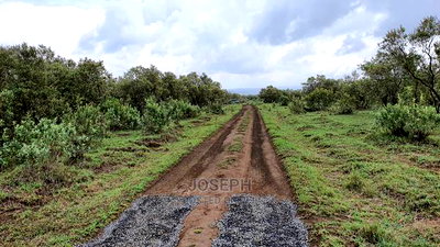 Naivasha 5 and 10acres Within Developed Impala Estate - Image 3