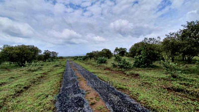 Naivasha 5 and 10acres Within Developed Impala Estate - Image 12
