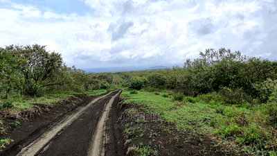 Naivasha 5 and 10acres Within Developed Impala Estate - Image 9
