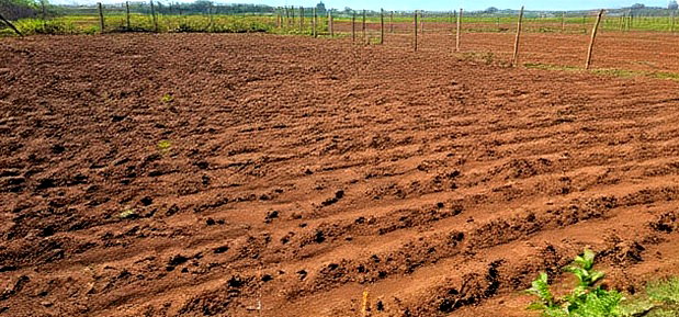 Plots for Sale in Marura Eldoret Opposite Terra