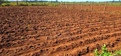 Plots for Sale in Marura Eldoret Opposite Terra - Image 2