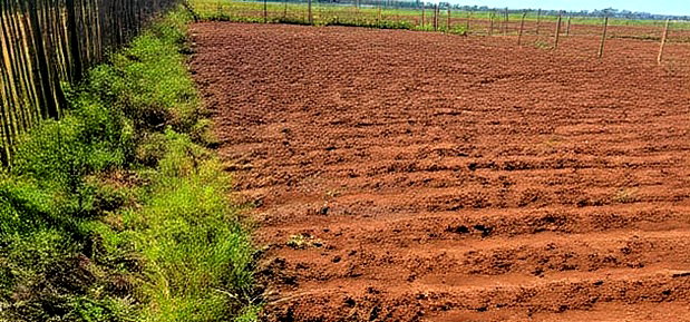 Plots for Sale in Marura Eldoret Opposite Terra