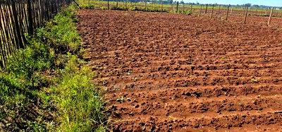 Plots for Sale in Marura Eldoret Opposite Terra - Image 3