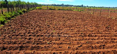 Plots for Sale in Marura Eldoret Opposite Terra - Image 6