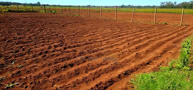 Plots for Sale in Marura Eldoret Opposite Terra