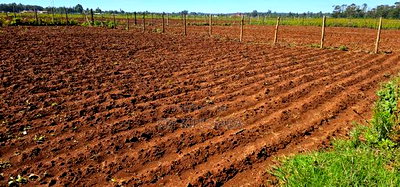 Plots for Sale in Marura Eldoret Opposite Terra - Image 4