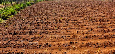 Plots for Sale in Marura Eldoret Opposite Terra - Image 5