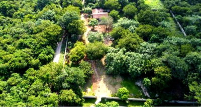 2 Acre Plot for Sale in Vipingo , Kuruwitu Beach - Image 4