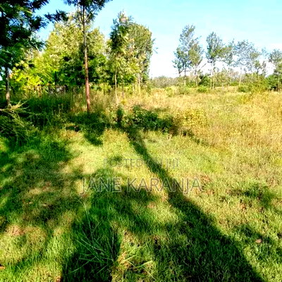 One and Quarter for Sale at Kenol Town Muranga County - Image 3