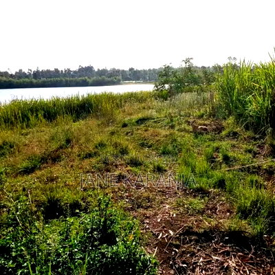 One and Quarter for Sale at Kenol Town Muranga County - Image 2