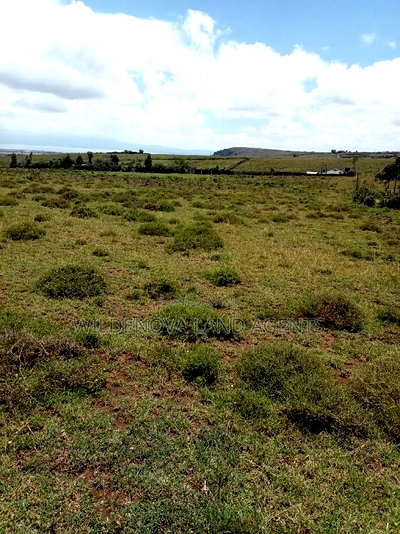Plots on Sale at Longonot Naivasha Going for J - Image 6
