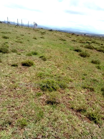 Plots on Sale at Longonot Naivasha Going for J - Image 7