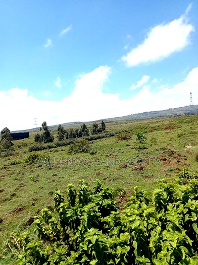 Plots on Sale at Longonot Naivasha Going for J - Image 5