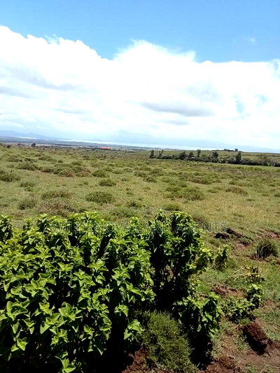 Plots on Sale at Longonot Naivasha Going for J - Image 11