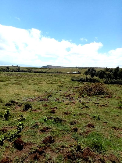 Plots on Sale at Longonot Naivasha Going for J - Image 10