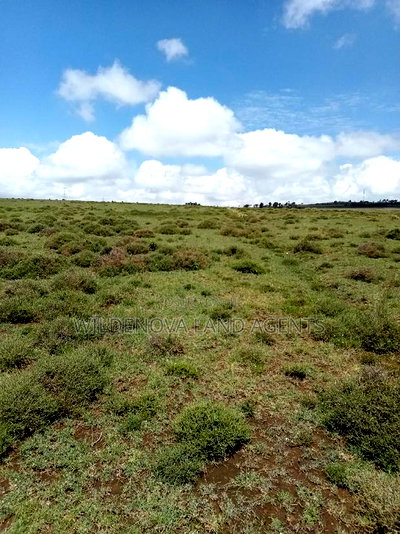 Plots on Sale at Longonot Naivasha Going for J - Image 8