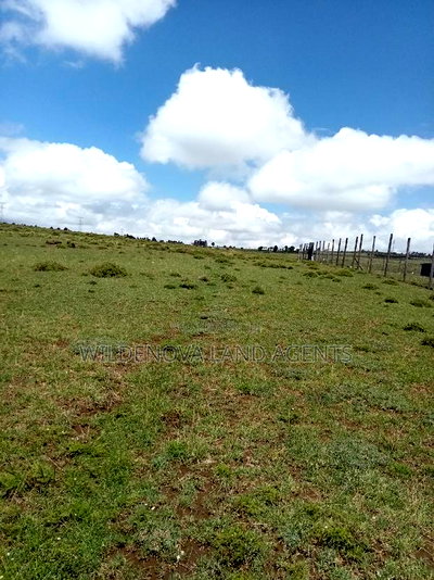 Plots on Sale at Longonot Naivasha Going for J - Image 4