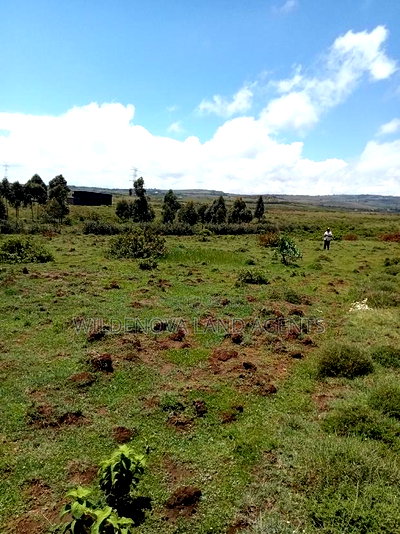 Plots on Sale at Longonot Naivasha Going for J - Image 9
