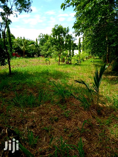 For Sale 2 Acres Agricultural Land Mtwapa - Image 4