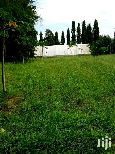 For Sale 2 Acres Agricultural Land Mtwapa - Image 2