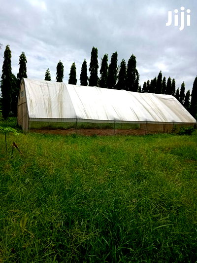 For Sale 2 Acres Agricultural Land Mtwapa - Image 3