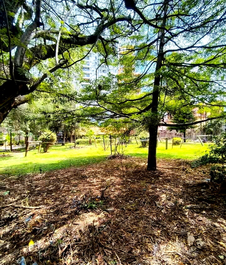 KSh 250M Kileleshwa Plot