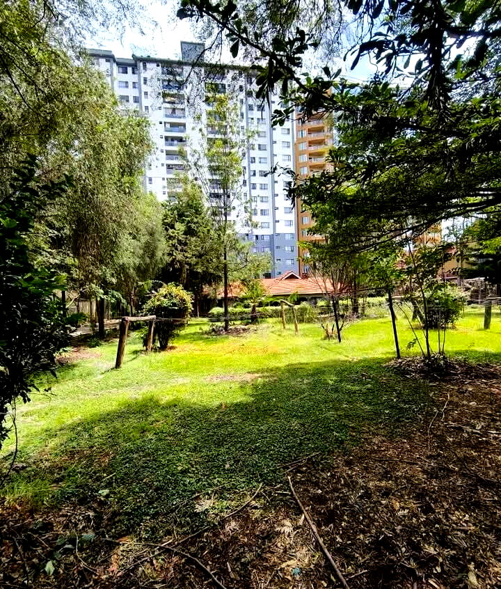 KSh 250M Kileleshwa Plot