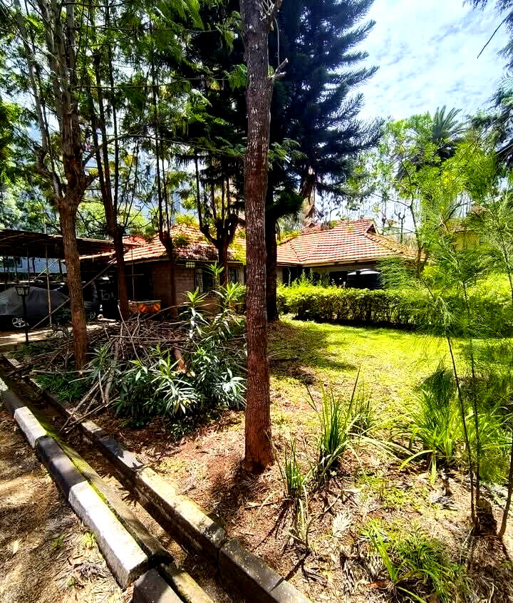 KSh 250M Kileleshwa Plot