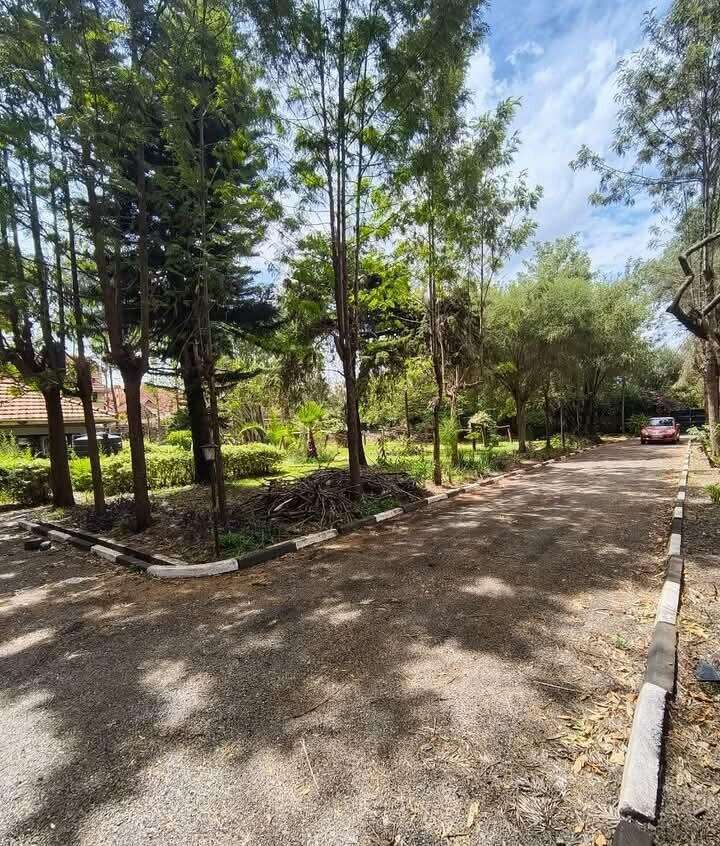 KSh 250M Kileleshwa Plot