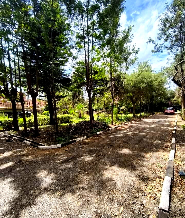 KSh 250M Kileleshwa Plot