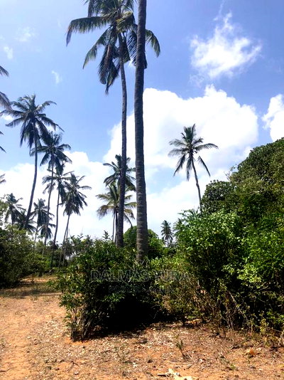 1 Acre Land in Dabaso - Image 4