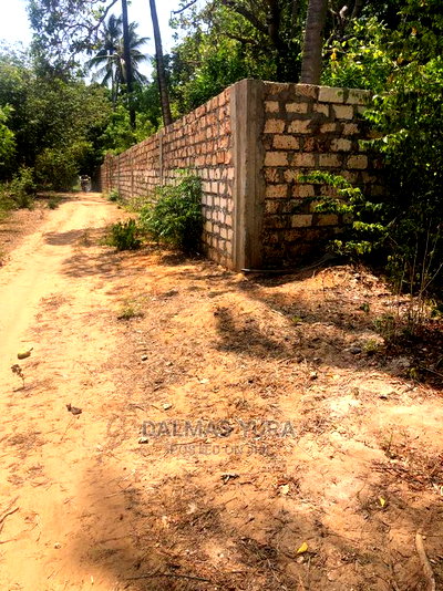 1 Acre Land in Dabaso - Image 5