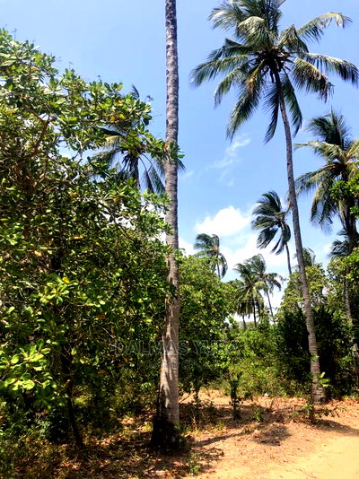 1 Acre Land in Dabaso - Image 1